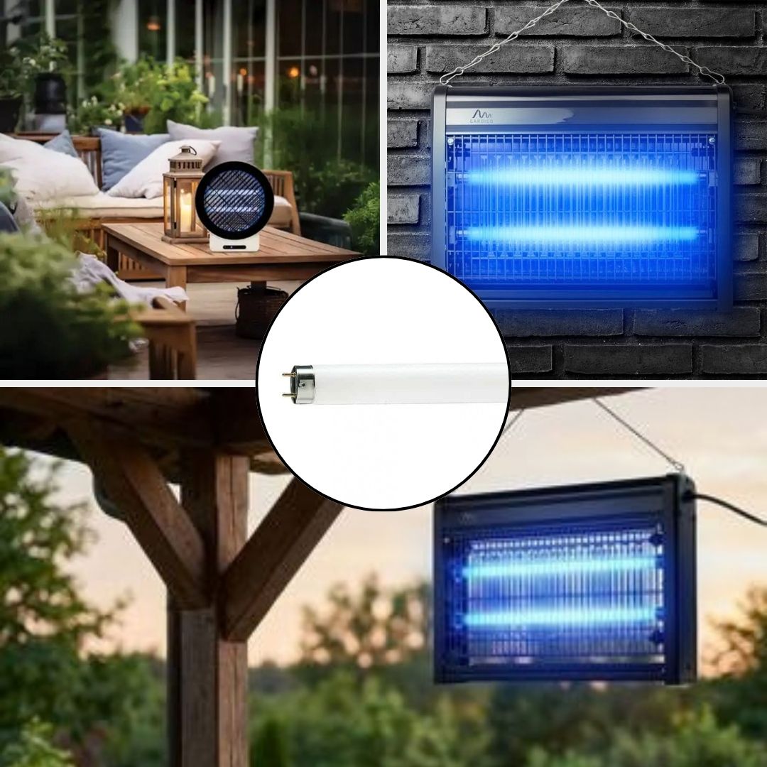 T8 10 Watt Insect Killer (UV) G13 Fluorescent Lamp 3 T8 10 Watt Insect Killer (UV) G13 Fluorescent Lamp