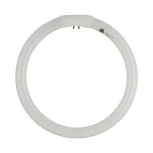 Circline T5 22 Watt 4 Pin Fluorescent Lamp