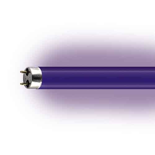 Uv deals fluorescent lamp