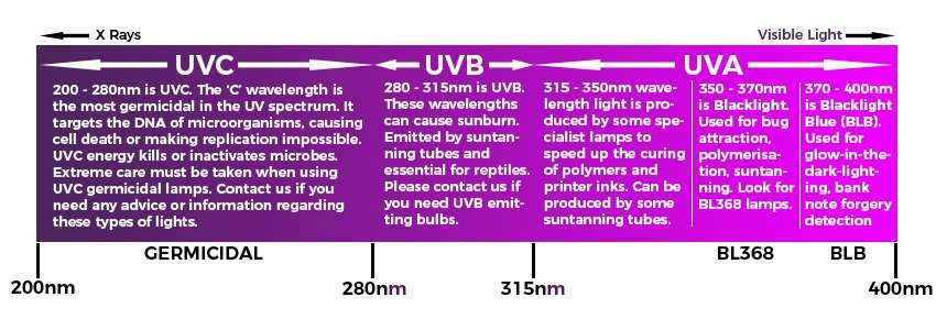 T8 10 Watt Insect Killer (UV) G13 Fluorescent Lamp 5 T8 10 Watt Insect Killer (UV) G13 Fluorescent Lamp - Image 5