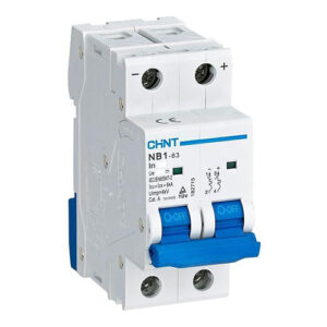 Chint 63 Amp 2Pole 3kA Dinrail Isolator