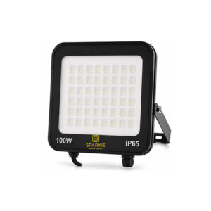 Floodlight LED 100 Watt 220V IP65 Econo
