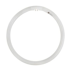 Circline T5 32 Watt 4 Pin Fluorescent Lamp
