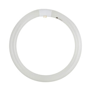Circline T9 32 Watt 4 Pin Fluorescent Lamp