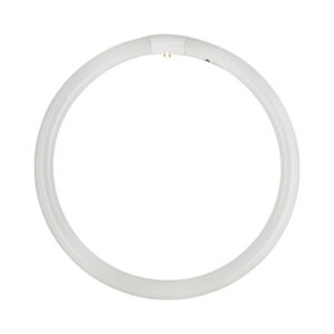 Circline T9 40 Watt 4 Pin Fluorescent Lamp